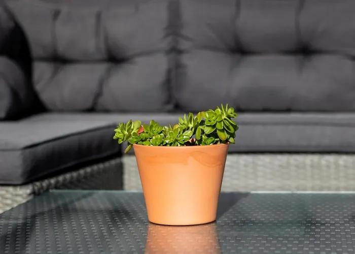 펜션 Casa Brancazul 오양